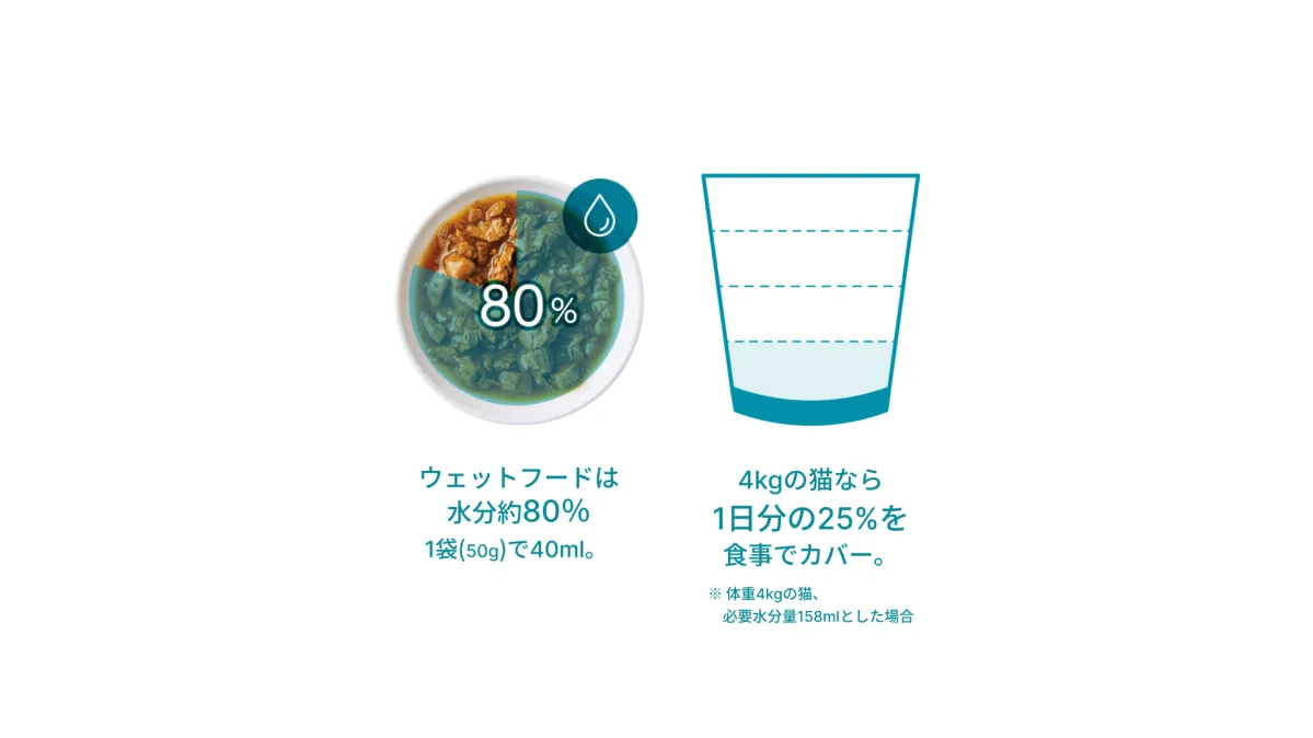 ピュリナ ワンのキャットフードで猫のミックスフィーディングを始める